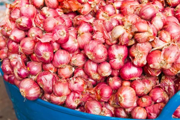 Какая сейчас ссылка на кракен