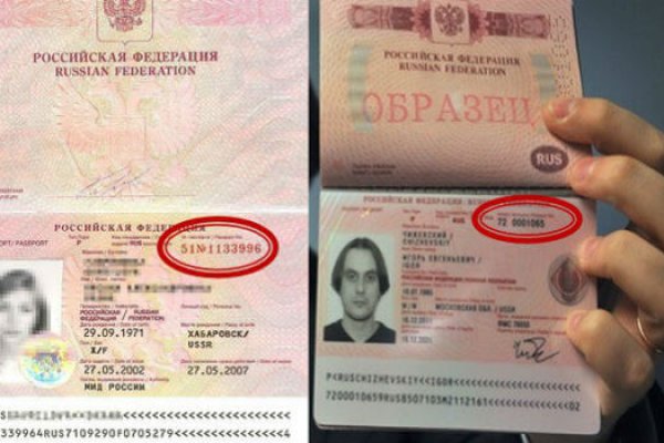 Замена гидры