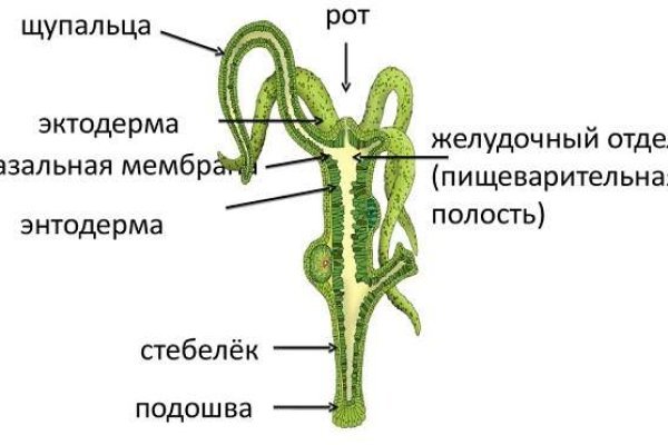 Кракен даркнет текст