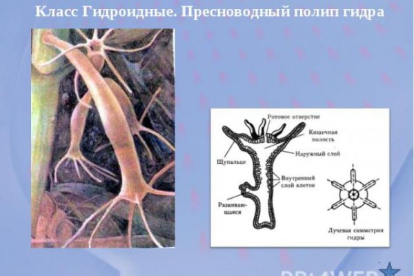 Кракен купить гашиш